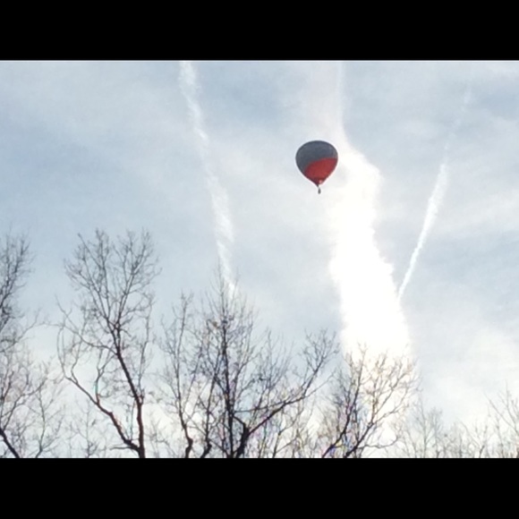 Meet your Posher, Trudy - Picture 1 of 1